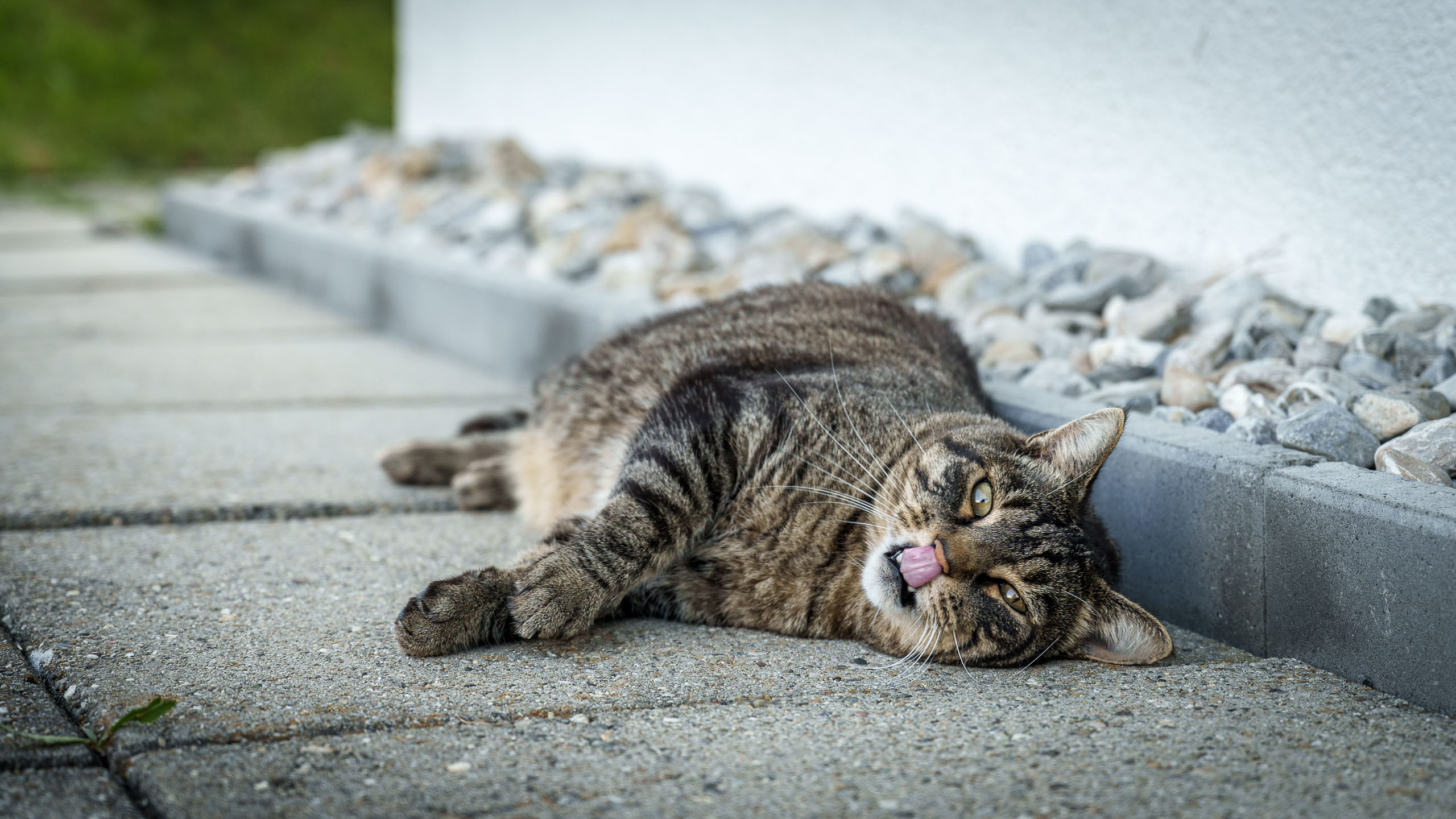 Wann gibt es Futter?